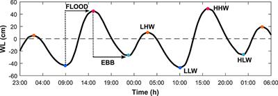 Long-Term Trends and Variability of Water Levels and Tides in Buenos Aires and Mar del Plata, Argentina